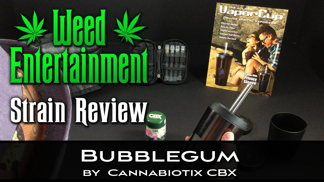 Bubblegum - Hybrid - by Cannabiotix - Strain Review - from Dr Greenthumbs, Sylmar Ca