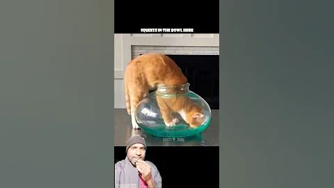 or worse yet, an ELECTRIC EEL 🙀 🎥: pjordan922 (TT), #shorts