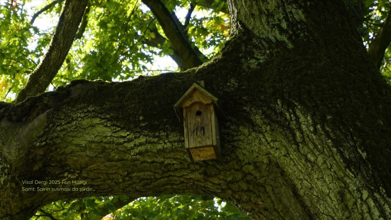 Bazen Susmak Yeterlidir - Samt: Şairin Susması Da Şiirdir
