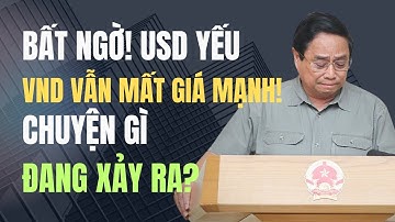 Vì Sao VND Mất Giá Dù USD Suy Yếu? Cảnh Báo Rủi Ro Tỷ Giá 2025!
