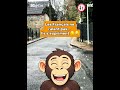 #humourfr #shortsfr #blague #france