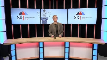 SKJ webinar | Het voorportaalcollege van professioneel toezicht