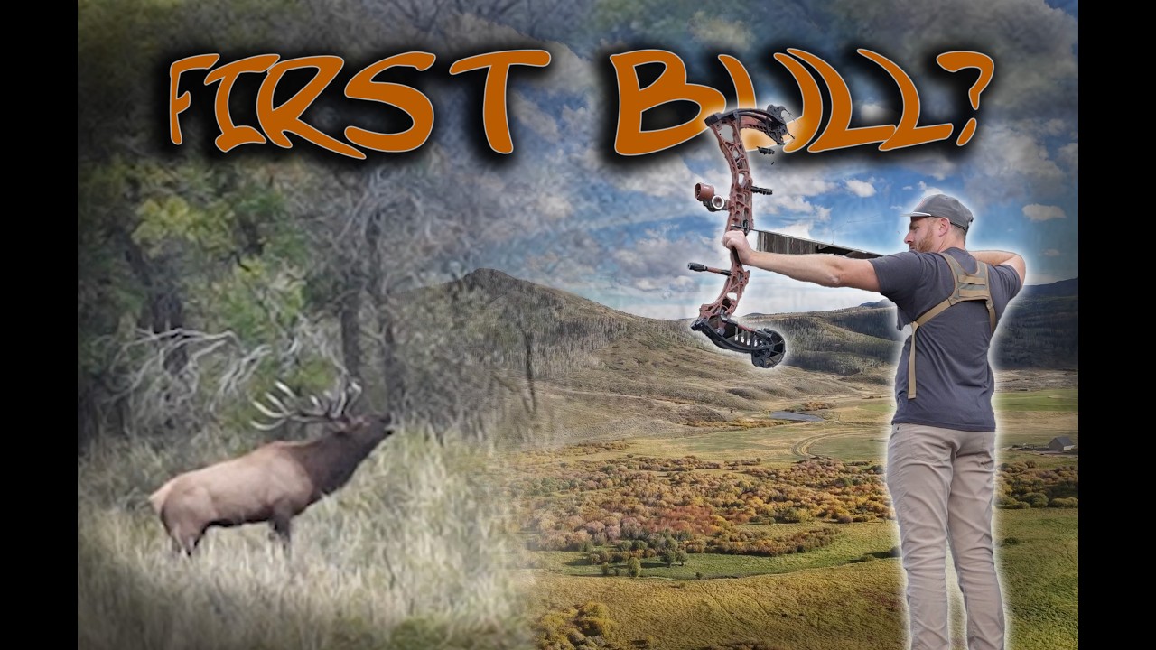 COLORADO ELK HUNTING: THE CHASE FOR MY FIRST BULL!