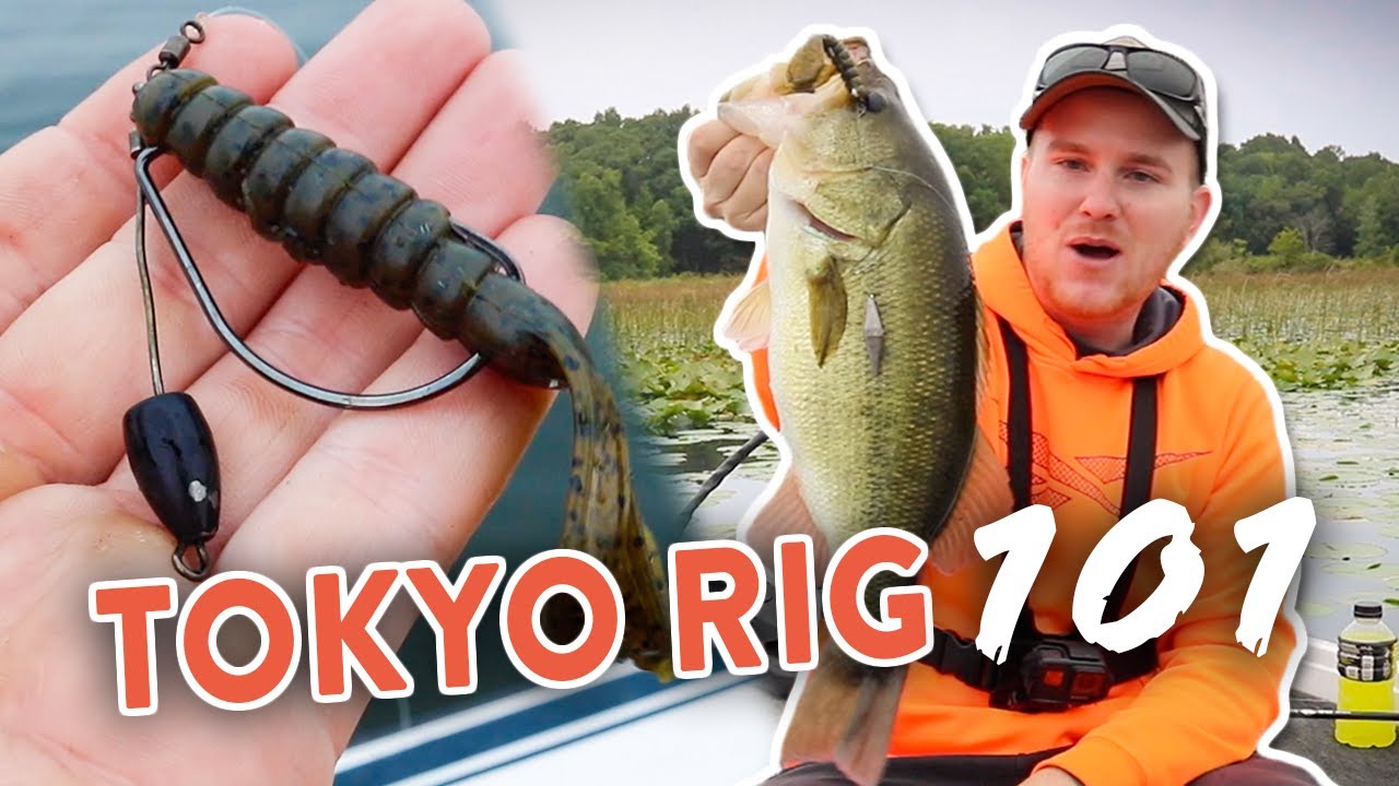 Fishing the TOKYO RIG!  Everything You NEED To Know 