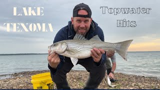 Lake Texoma - Spring Topwater Fishing - Blow ups on top