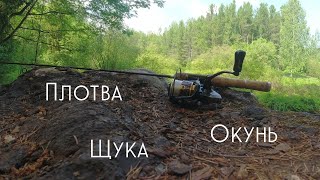 #421 #мормышинг | Микро речка | Плотва на спиннинг |