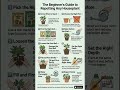 The Beginner's Guide to Repotting Any Houseplant 🪴✨#Repotting #HouseplantCare #PlantTips #plants