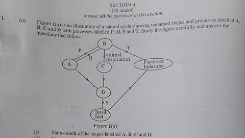 BECE 2025 Science Questions - Passco for BECE 2026
