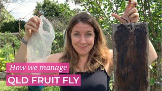 How we manage QLD Fruit Fly
