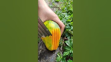 GI599858 mini rotary tillage and ridging all-in one tree 🌲 short view#shorts #subscribe