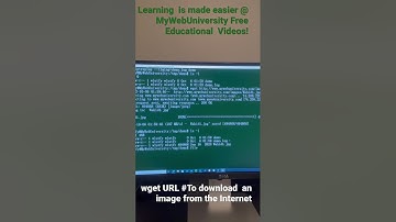 Use ‘wget’ to download an image from the Internet