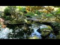 The Japanese Garden, Cornwall UK