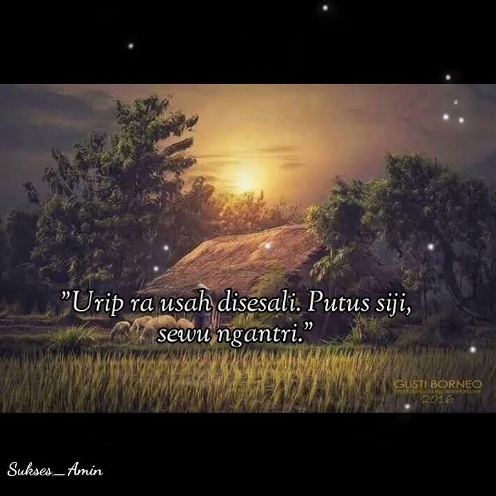 Story Wa Sholawat Keren