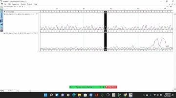 Sekuensing DNA menggunakan Aplikasi BioEdit dan DNAStar (Kel. 4B)