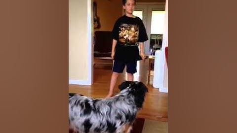 Cc cycle 3 week 1 history