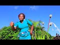 Mkulima A I C Mwaani Neema Choir Official Video Mkulima A I C Mwaani Neema Choir Official Video
