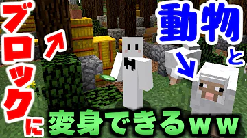ピクトハウス動物戦い