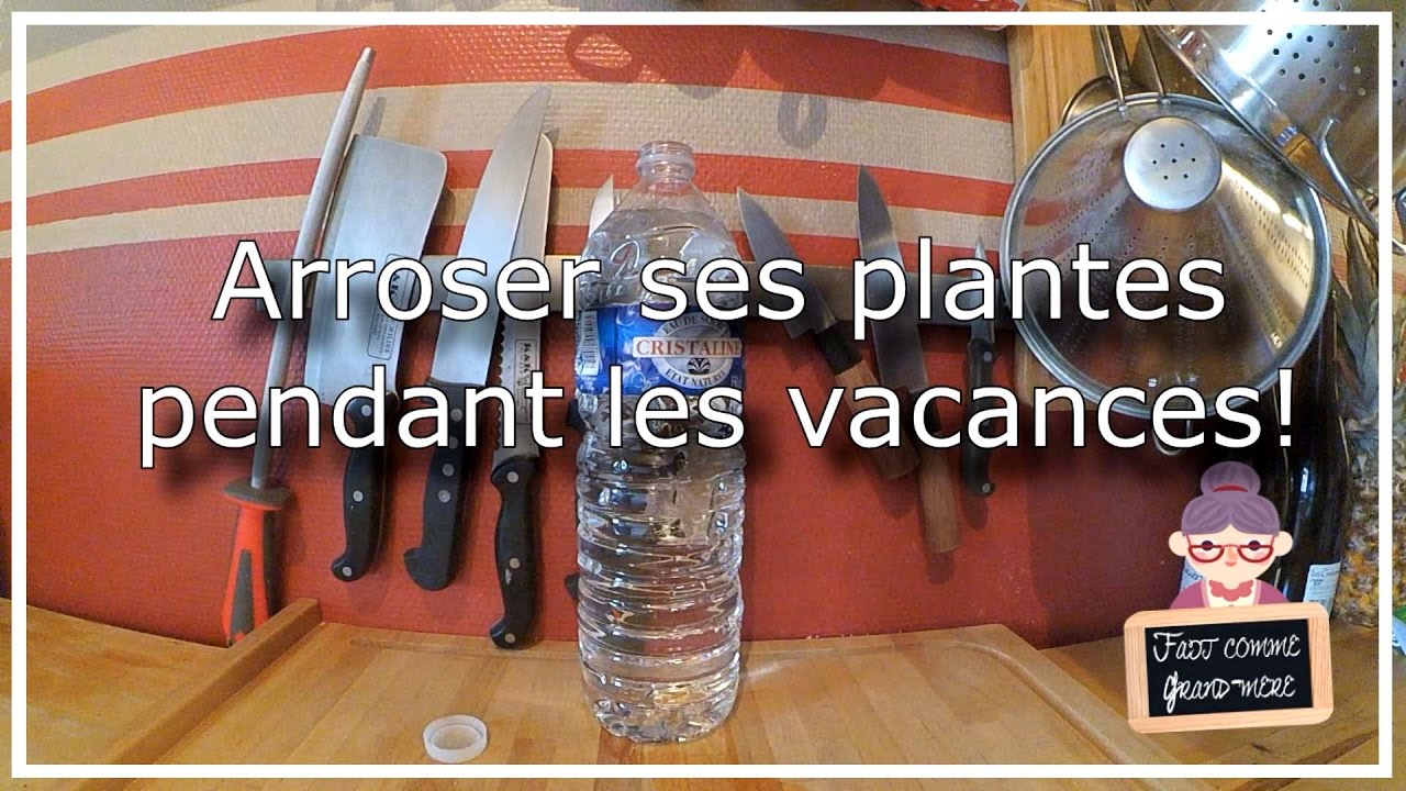 6 astuces pour arroser ses plantes pendant les vacances