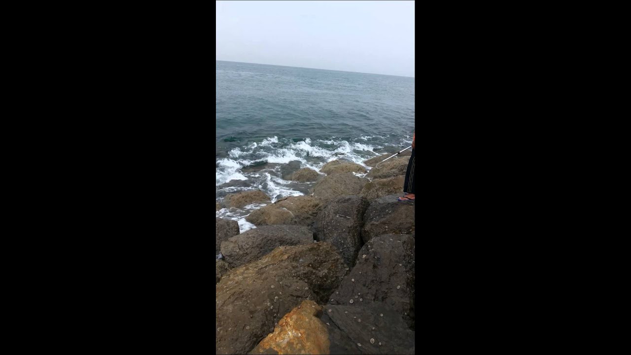 fishing in sharjah - YouTube