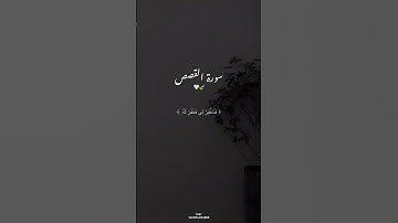 تلاوة خاشعة للشيخ ماهر المعقلي 🤍🍃سورة القصص #ماهر_المعيقلي #viral #سورة_القصص