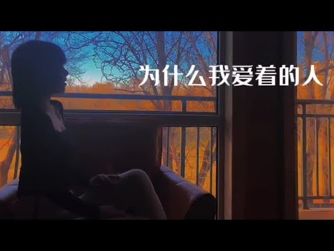 [MV] 《我爱的人爱着别人》 - L(桃籽) 「我曾用最好的青春，等来一句不可能」 #我爱的人爱着别人  #L桃籽  #音乐  #抖音  #抖音音乐  #douyin  #tiktok  #MV