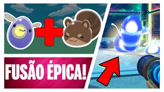 Slime Rancher 2 #12 - O segredo do slime guaxinim 