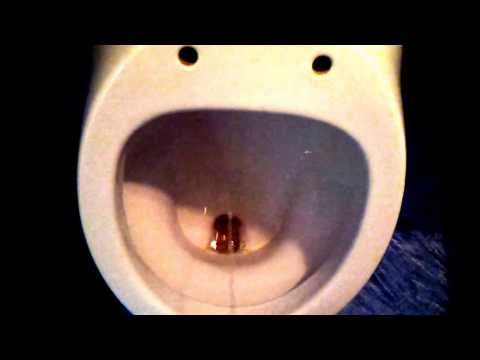 Toilet piss #4