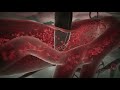 Malaria 3D Animation Shows How the Infection Spreads in the Body