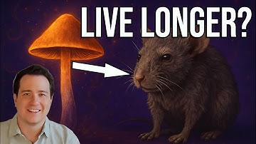 Psilocybin Mushrooms Slow Aging and Increase Lifespan? NEW Research