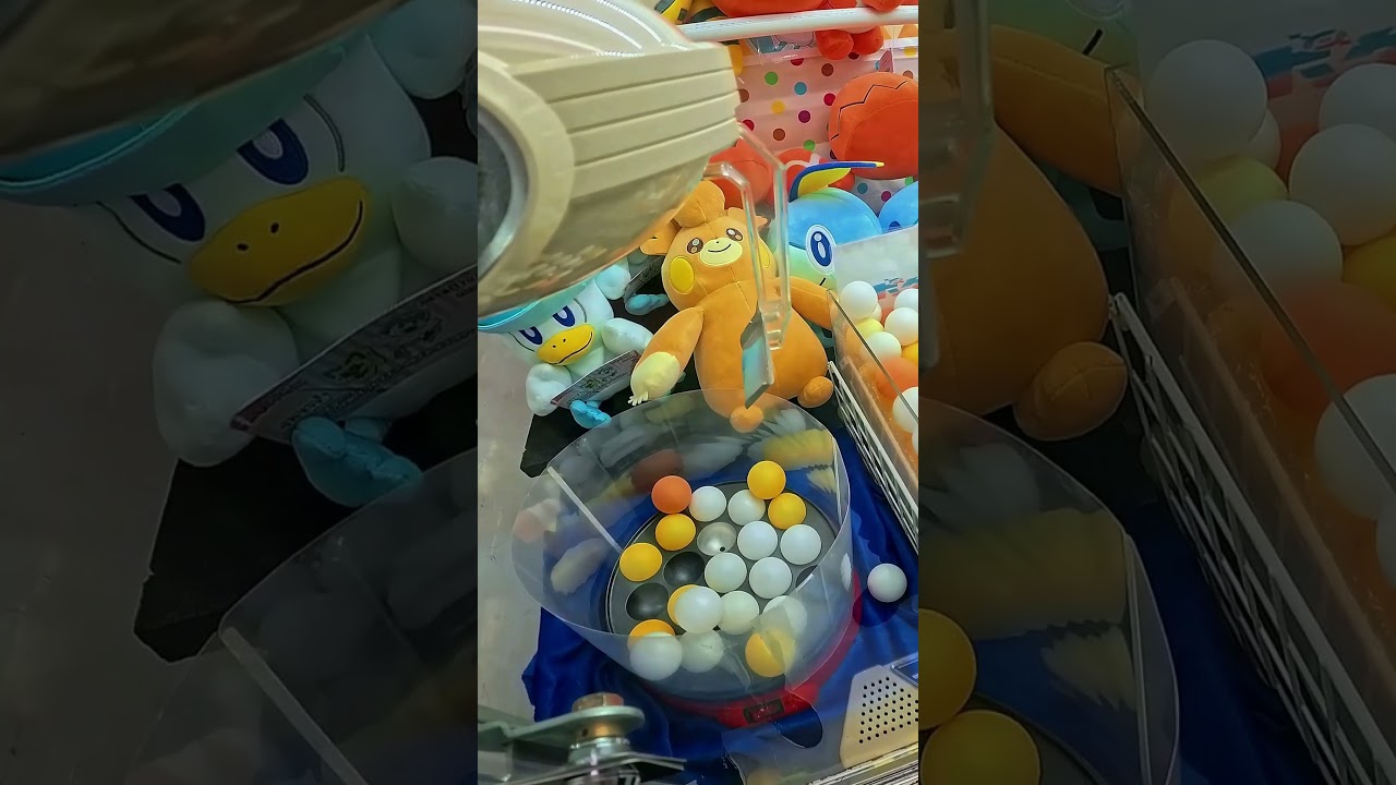 A Wild Pawmo Appeared! 