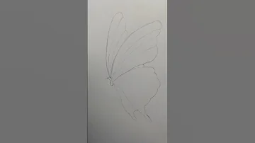 Beautiful And Easy Butterfly Drawing Shorts Art 