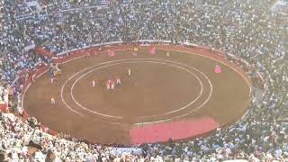 Monumental Plaza de Toros México - 5/02/24, Paseillo