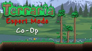 Approaching Hard Mode | Summoner | Terraria Expert Mode Co-Op w/ @theidiot01