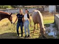 Aprendendo a andar à cavalo. 