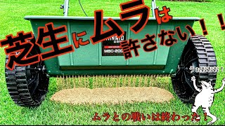 【芝生の秋】目砂・肥料を均等に撒けるドロップシーダー【目砂ビフォーアフター】