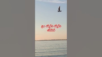دقيقه دقيقه من فضلك استمع الى القران كريم#اكسبلور