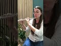 Chat GPT does not understand how the flute works…