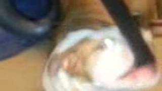 Flip Flops Vacuum Addiction