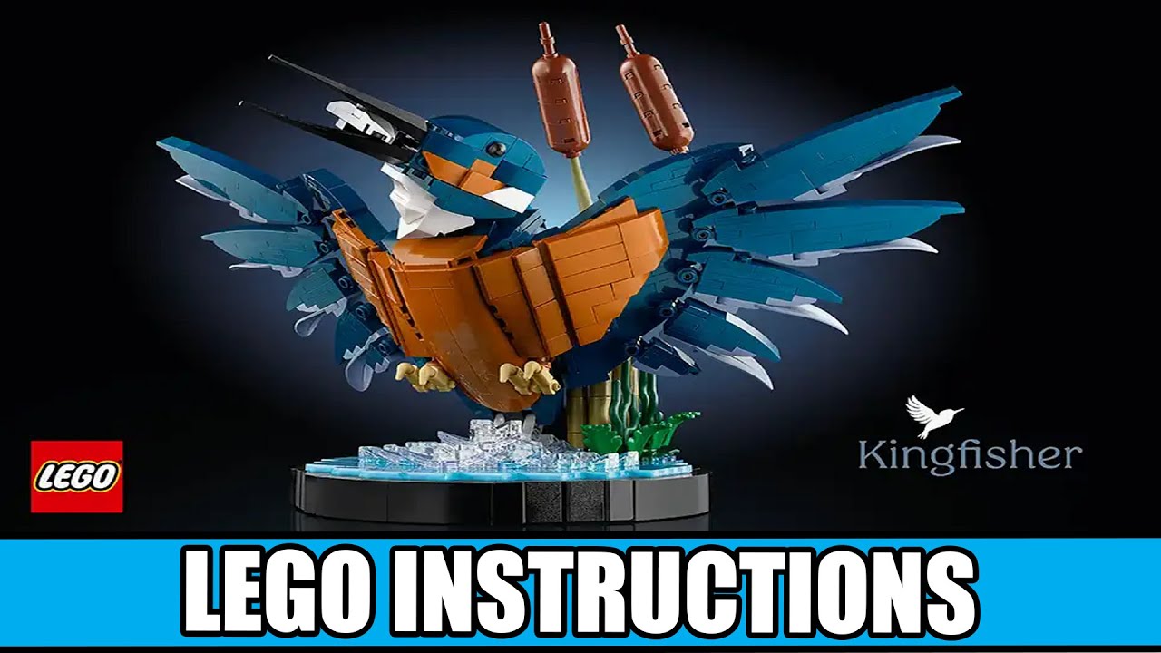 Icons - Kingfisher Bird - Souvenir Set LEGO instructions