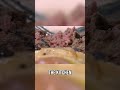 Chef Ramsay's Kitchen Nightmare: Raw Burger &amp; Frustration! #shorts