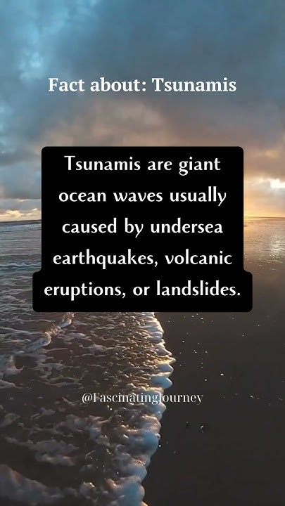 What is tsunami short