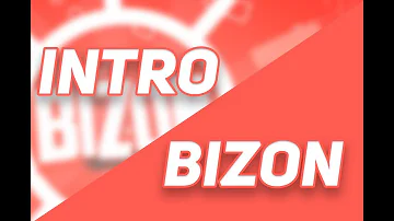 Intro Bizon