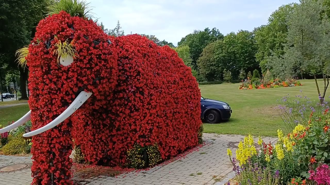 Kurpark Bad Hamm 24.07.2024