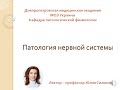 Патофизиология нервной системы