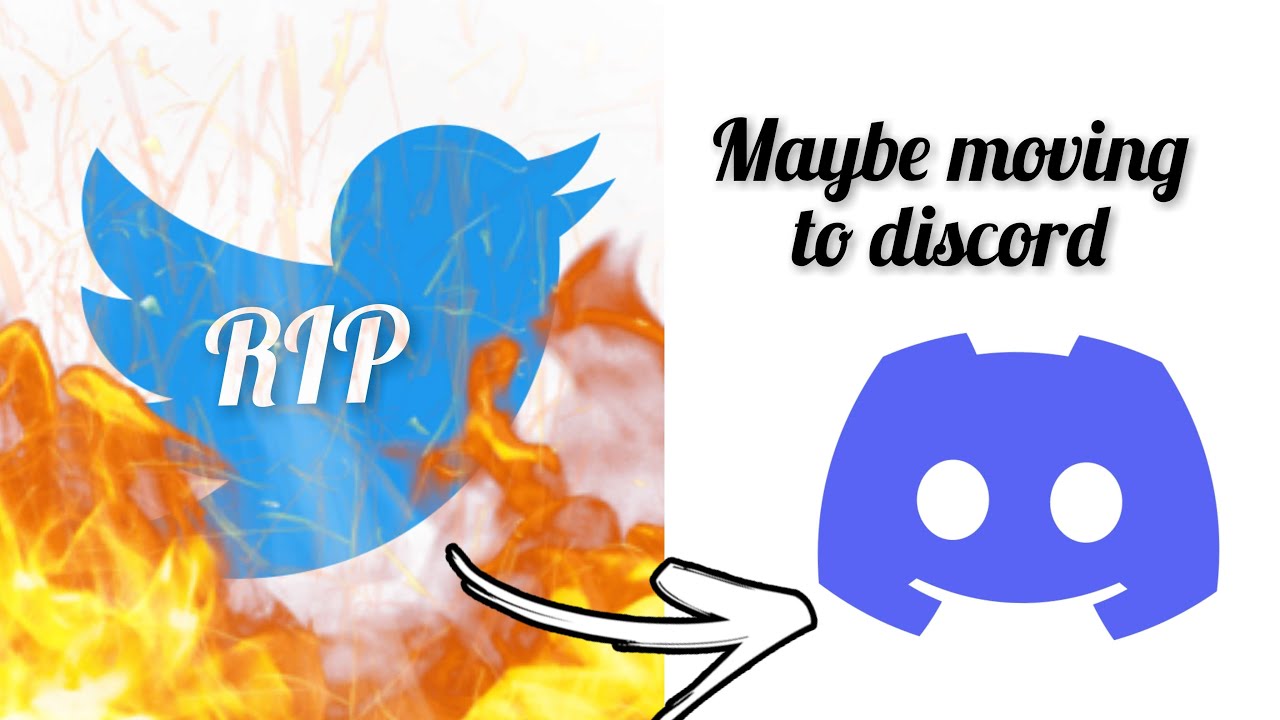 Twitter Ranting Fool and Faith - Ranting about Twitter and Atlus Once Again - YouTube