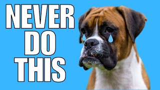9 Things You Must NEVER Do To Your BOXER Dog (EVER)