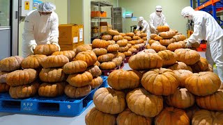 Mass production of Korean Traditional Pumpkin Sweet rice drink(Sikhye) / Food factory