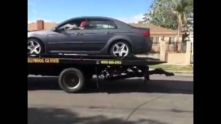 They Are Naked Vine By De Storm