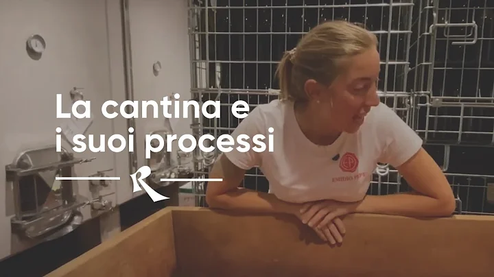 Emidio Pepe - La cantina e i suoi processi con Chi...