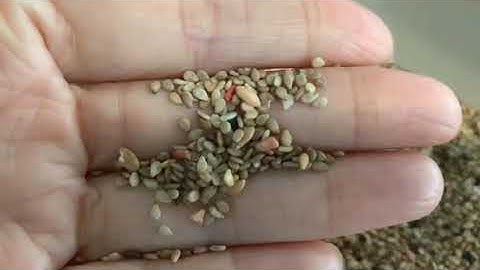 5XZ-L laboratory gravity separator video